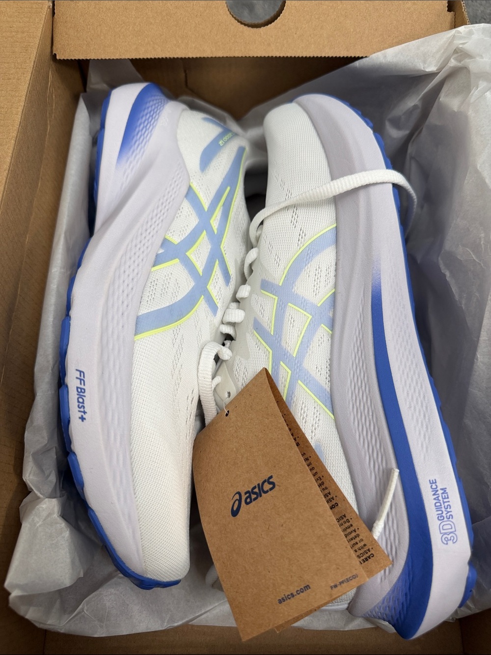 ASICS Women’s GT 2000 12